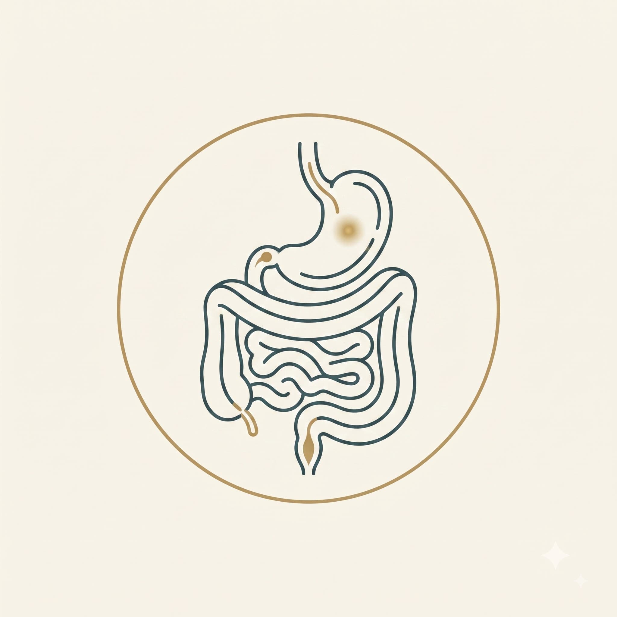 GUT RESET